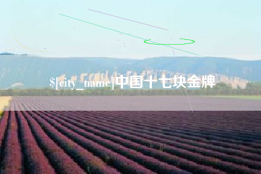 武威中国十七块金牌