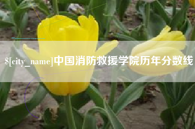 武威中国消防救援学院历年分数线