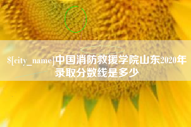 武威中国消防救援学院山东2020年录取分数线是多少