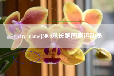 武威5000米长跑国家运动员