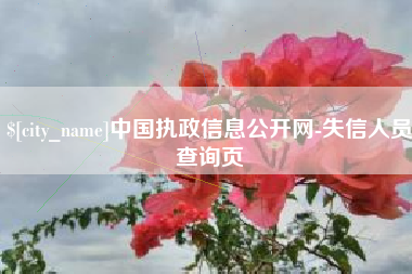 武威中国执政信息公开网-失信人员查询页