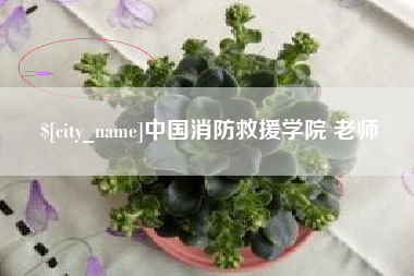 武威中国消防救援学院 老师