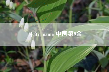 武威中国第9金