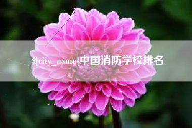 武威中国消防学校排名