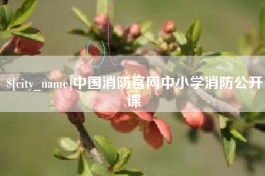 武威中国消防官网中小学消防公开课
