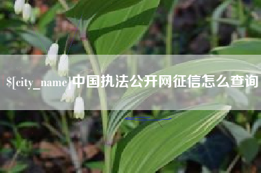 武威中国执法公开网征信怎么查询