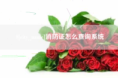 武威消防证怎么查询系统