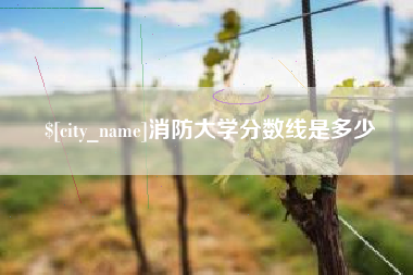 武威消防大学分数线是多少
