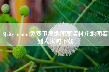 武威免费卫星地图高清村庄地图看到人实时下载