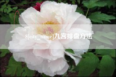 武威九宫排盘方法