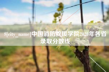 武威中国消防救援学院2020年各省录取分数线