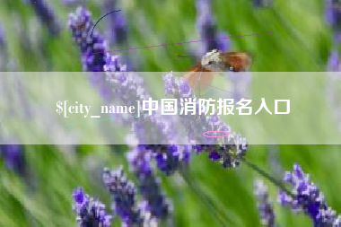 武威中国消防报名入口