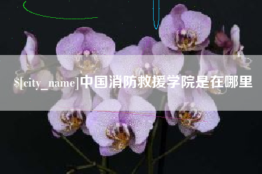 武威中国消防救援学院是在哪里