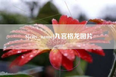 武威九宫格龙图片