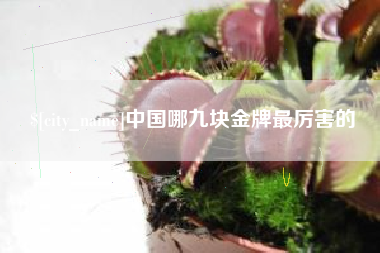 武威中国哪九块金牌最厉害的