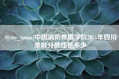 武威中国消防救援学院2021年四川录取分数线是多少