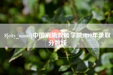 武威中国消防救援学院2019年录取分数线