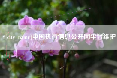 武威中国执行信息公开网平台维护