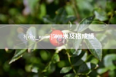 武威5000米及格成绩
