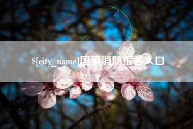 武威国家消防报名入口