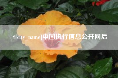 武威中国执行信息公开网后