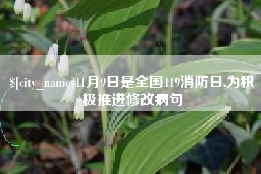 武威11月9日是全国119消防日,为积极推进修改病句