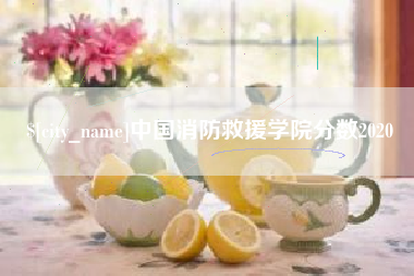 武威中国消防救援学院分数2020
