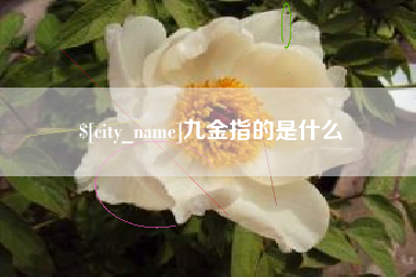 武威九金指的是什么