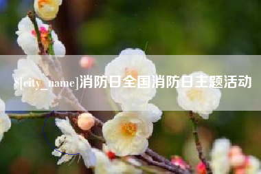 武威消防日全国消防日主题活动