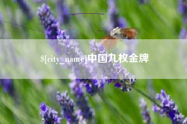 武威中国九枚金牌