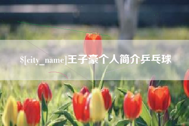 武威王子豪个人简介乒乓球