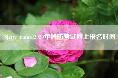 武威2020年消防考试网上报名时间