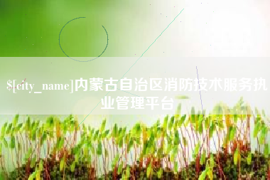 武威内蒙古自治区消防技术服务执业管理平台