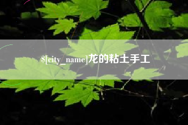 武威龙的粘土手工