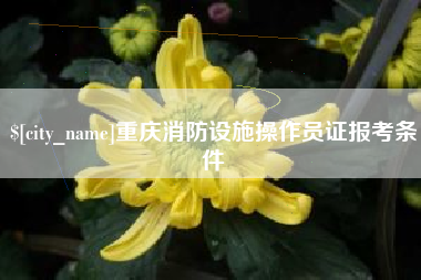 武威重庆消防设施操作员证报考条件
