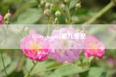 武威第九金是