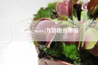 武威九宫格分布图