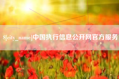 武威中国执行信息公开网官方服务
