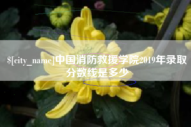 武威中国消防救援学院2019年录取分数线是多少
