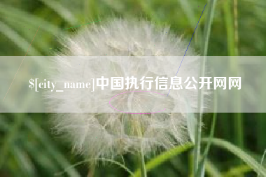 武威中国执行信息公开网网