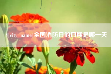 武威全国消防日的日期是哪一天
