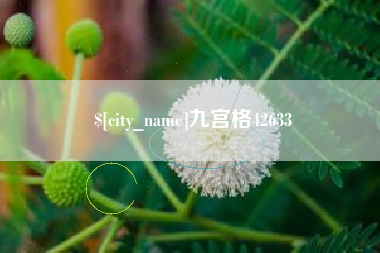 武威九宫格42633
