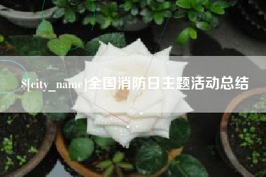 武威全国消防日主题活动总结