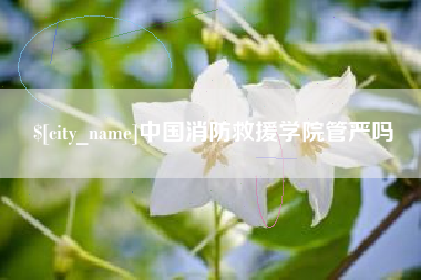 武威中国消防救援学院管严吗