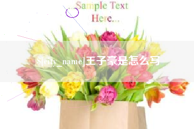 武威王子豪是怎么写