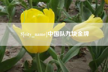 武威中国队九块金牌