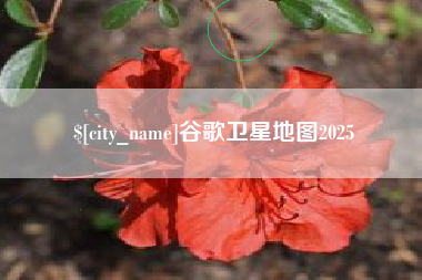 武威谷歌卫星地图2025