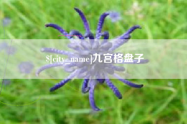 武威九宫格盘子