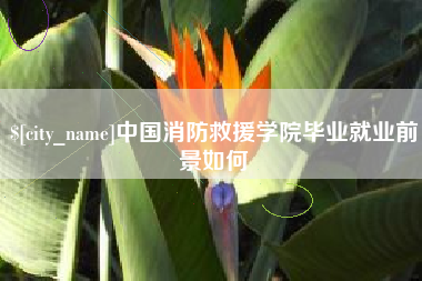 武威中国消防救援学院毕业就业前景如何