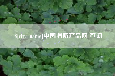 武威中国消防产品网 查询